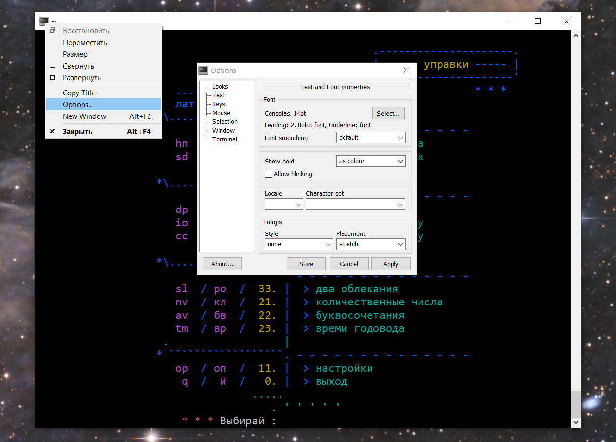 VJAZ-win-terminal-settings